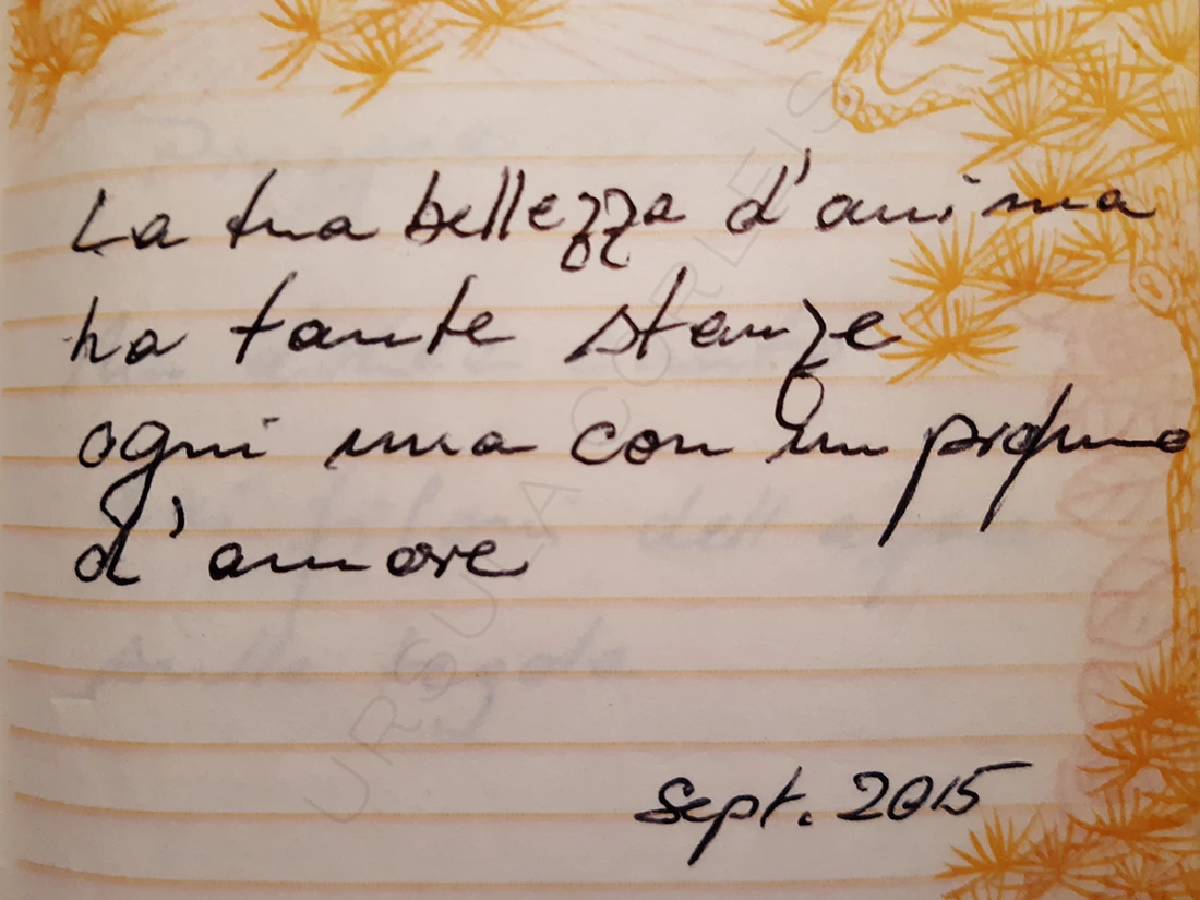 poem sept 2015 by Ursula Corleis